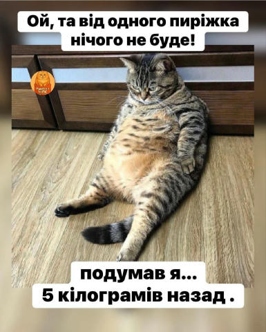 No text