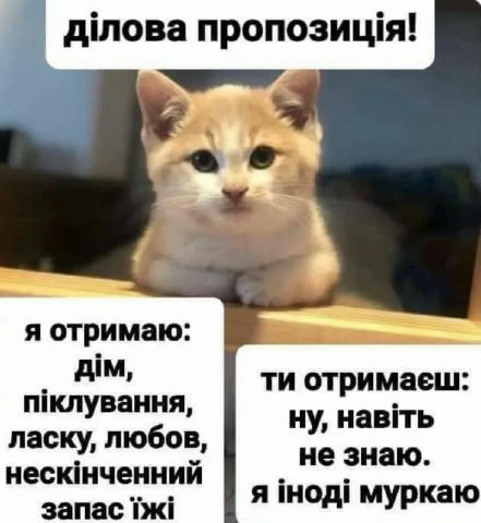 No text