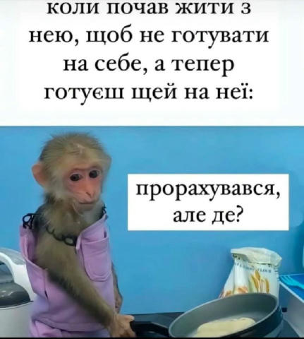 No text