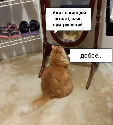 No text