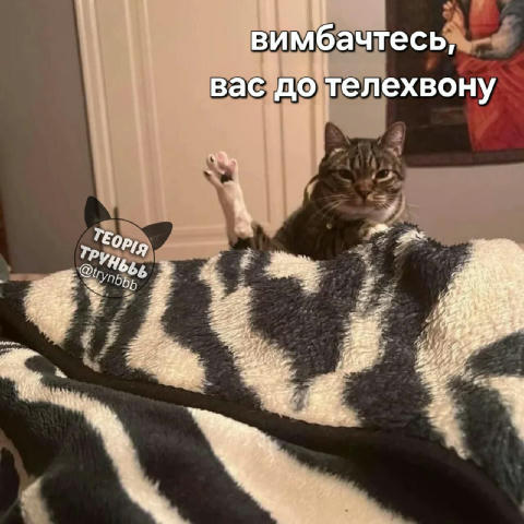 No text