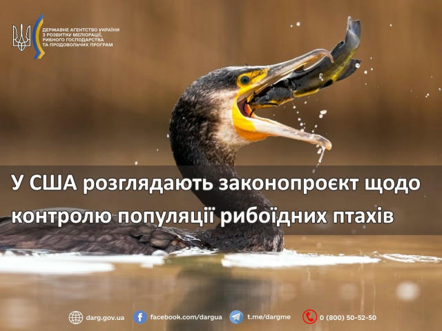 ❗️ У США розглядають законопроєкт щодо контролю популяції рибоїдних птахів ✅ У Палаті представників Конгресу США пройшов комі