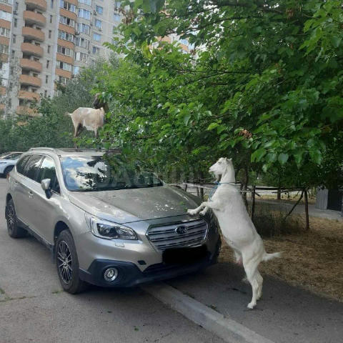 Звичайний день в столиці 😐😐😐
