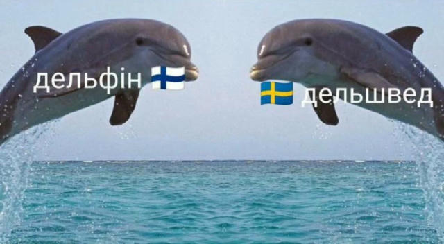 No text