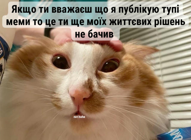 No text