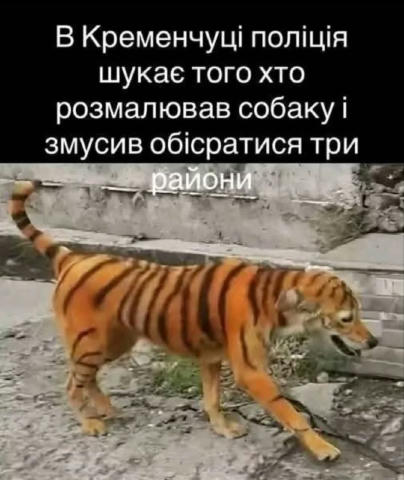 Гуморист мамкин... Підписатися на канал