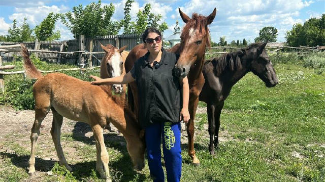 🐎Шелтер для коней, евакуйованих із зон бойових дій, у 2023 році створила на Рівненщині переселенка з Луганщини Катерина Степ