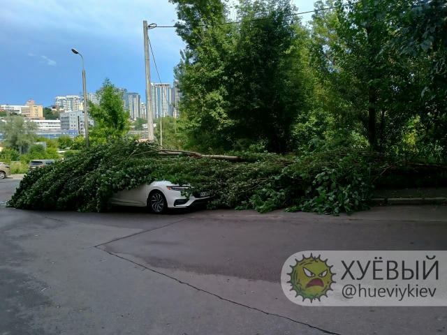 Камуфляж 80-го lvl 💩 На Сапёрно-Слободской оценил качество внезапно обрушившейся маскировки - "Дикий🔥🐾МАУ" Связь с админом