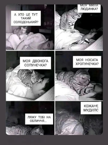 No text