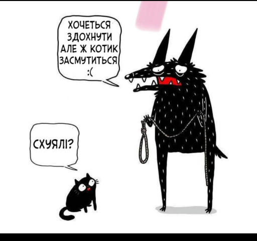 No text