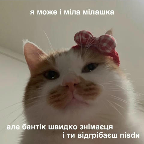 No text