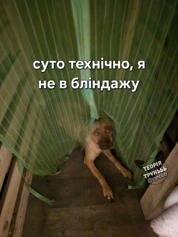No text