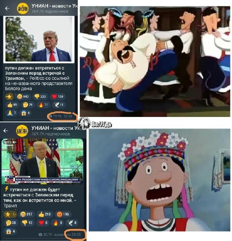 Колесо генотьбы 😁 ОСОБОЕ МНЕНИЕ