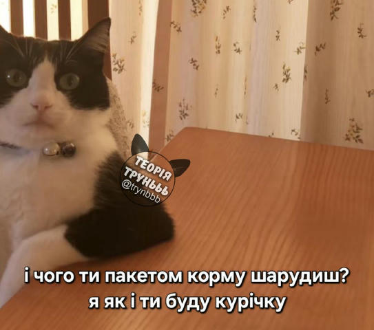 No text