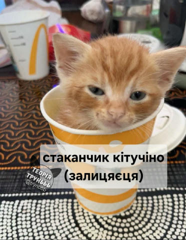 No text