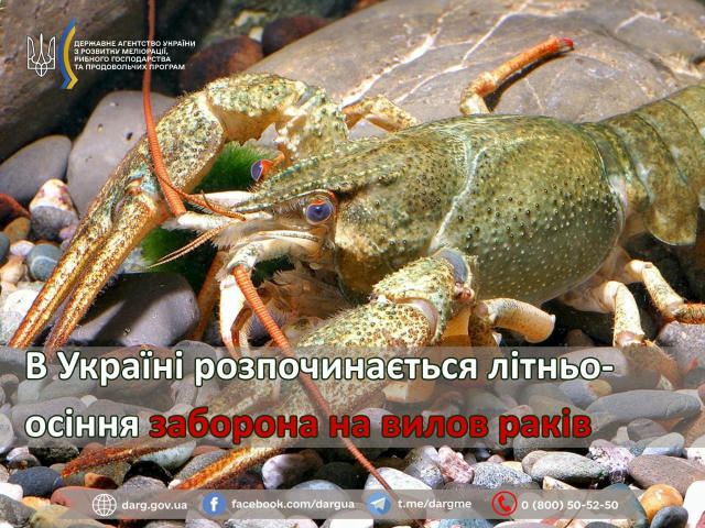 ❗️ В Україні розпочинається літньо-осіння заборона на вилов раків 🦞 З метою збереження та охорони популяції раків у період ї