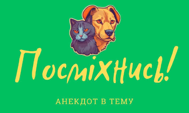 Тема дисертації: «Хліб, що вистрибує з тостера, як причина інфарктів у котів»😀 Підпишись 👉 Клуб "ГавМур" і поділись!