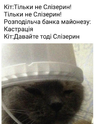 No text
