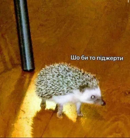 No text