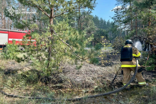 На Донеччині рятувальники ліквідували 5 пожеж після ворожих атак Минулої доби у Краматорському районі ДСНС Донеччини гасили п