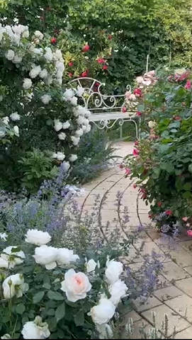 💐 Підживлення для квітів, яке творить дива Інгредієнти: - 10 г пресованих дріжджів - 1 ст. л. цукру - 1 л теплої води Пригот
