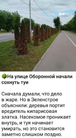 Що прикметно, на території Луганської області до 2022 року головною проблемою, на боротьбу з якою списували скажені кошти, бу
