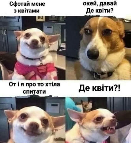 Приєднуйся 👉 ГУМОР UA 🤣