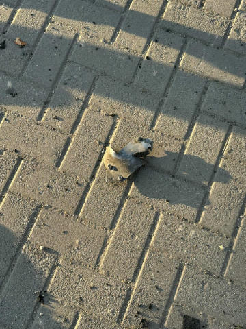 🤬Уламки знаходять на місці удару авіабомби Фото: Загін Швидкого Реагування ТЧХУ у Запорізькій області Ми в 📲 WhatsApp 📲 In