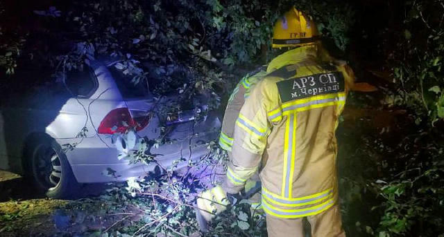 ❗️ ЧЕРНІВЦІГРАМ ПОВІДОМЛЯЄ: у Чернівцях шквальний вітер повалив дерево на BMW Ввечері 10 серпня через сильний вітер рятувальн