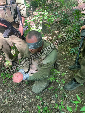#полон На впізнання