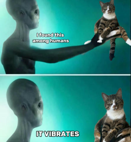 No text