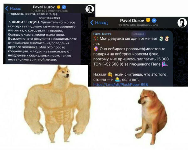 No text