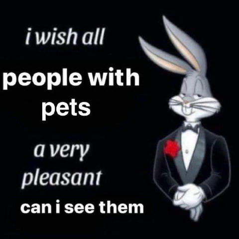No text