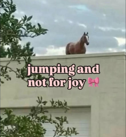 No text