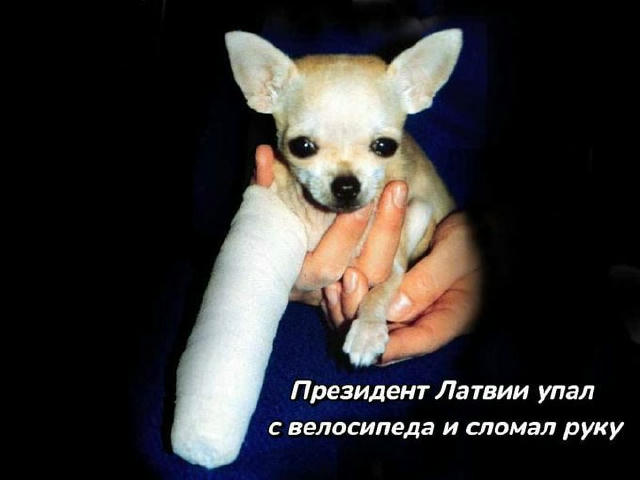 Рука Москвы 😂 ОСОБОЕ МНЕНИЕ