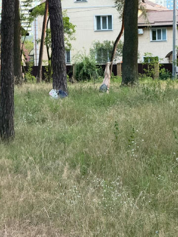 Якого хуя? Що це таке?
