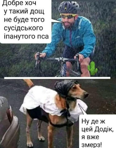 No text
