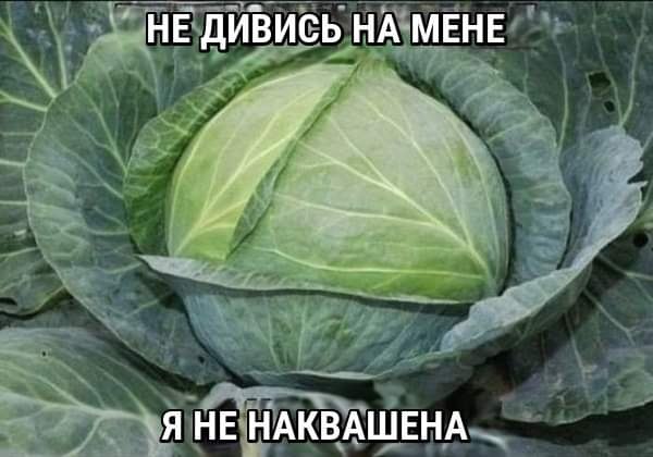 No text