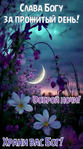 #АГС_Пожелания_на_ночь Доброй ночи, дорогие наши! Спокойного отдыха и ярких, волшебных снов! Ангела-Хранителя! Подписаться | 