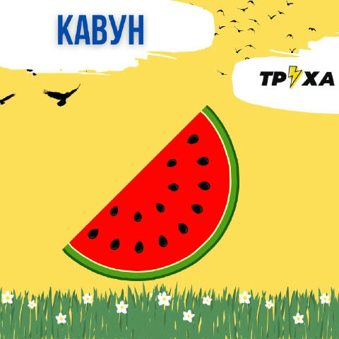 🌘Нічний #ТрухаЧат бажає тихої ночі. Пограємо в слова? Я почну, «кавун» – тобі на «н». Поїхали👐 ㅤ Труха⚡️Чернівці | Надіслат