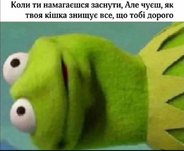 No text