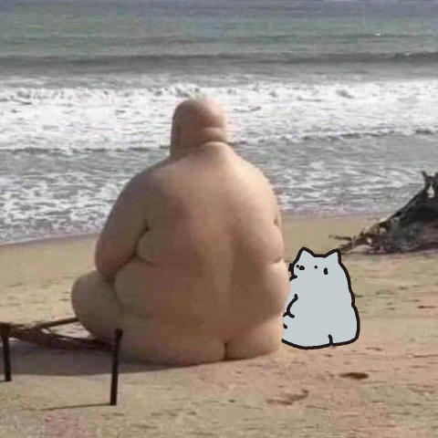 No text
