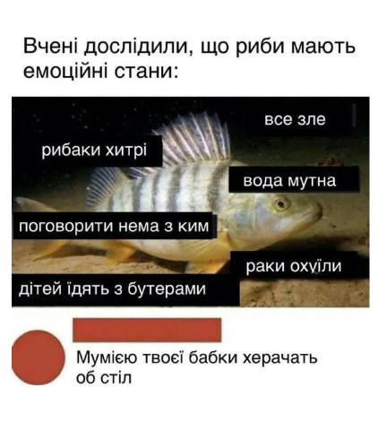 З каналу: @wartimejokes Надсилайте пропозиції: @wartimejokesbot