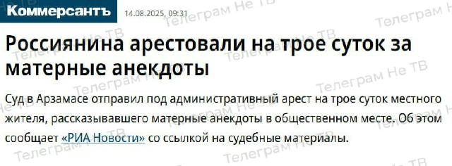 "Россиянина арестовали на трое суток за матерные анекдоты" Суд в Арзамасе отправил под административный арест на трое суток м