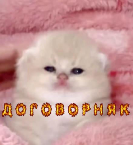 No text