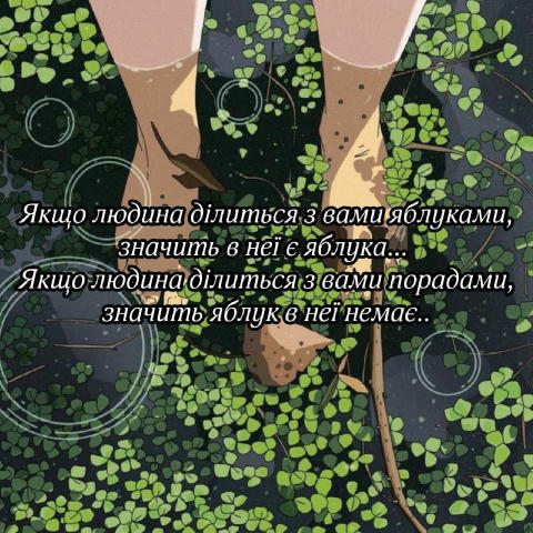 Підписатись на QTV📺