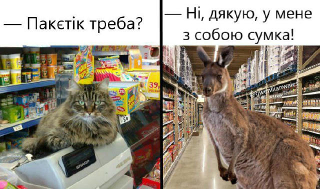 Люблю цей австралійський мем