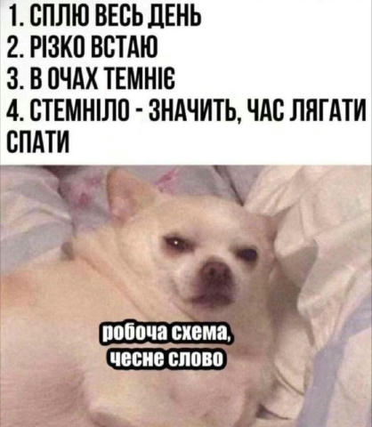 Запросити друзів 👉БІМБА🇺🇦