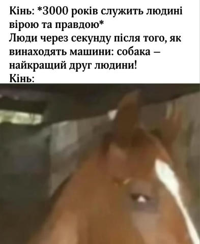 No text