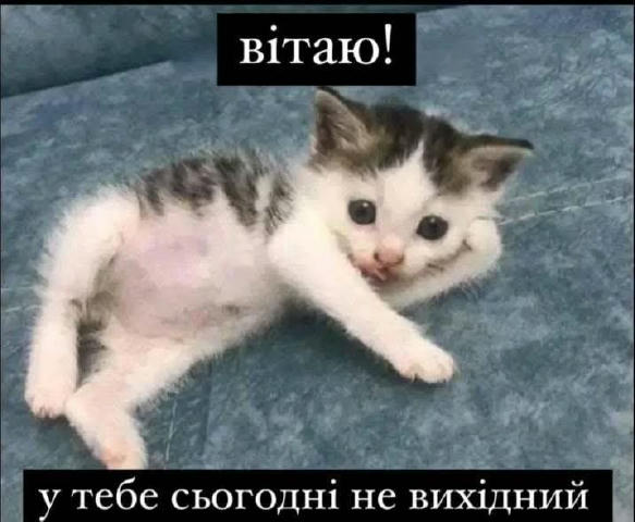No text